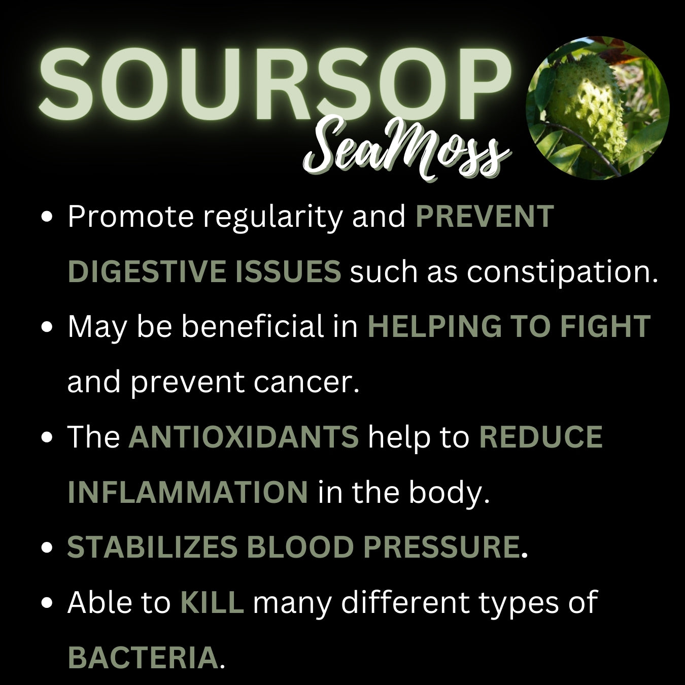 SourSop SeaMoss Gel